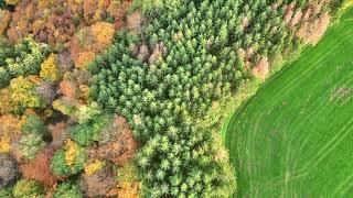 Herbst in der Süd Eifel Footage Dji mini 3 pro