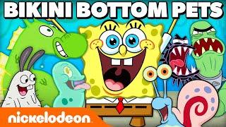 45 MINUTES Of SpongeBobs PETS In Bikini Bottom  Nickelodeon Cartoon Universe