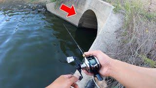 MYSTERIOUS DEEP TUNNEL is LOADED with FISH Random Highway Pond Fishing