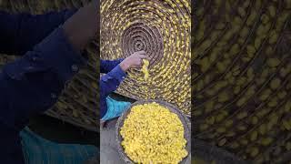 Amazing Silk Preparation Complete Process Using Silkworm #shorts