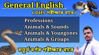 General English for DHS Exam  DHS Grade 4 English Questions Answers  DHS English