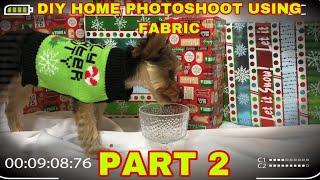 VLOGMAS #16 DIY AT HOME PHOTOSHOOT WITH FABRIC  with Pet DOG