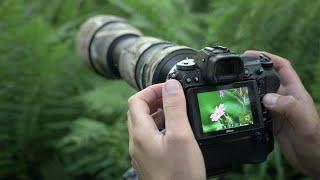 BADGERS AND MACRO PHOTOGRAPHY  Bts photo blind as scent blocker