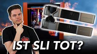 SLI auf der HMX3 Die große Enttäuschung?  Höllenmaschine X3