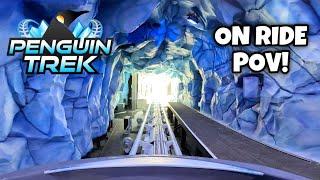 PENGUIN TREK  SEAWORLD ORLANDO  FRONT ROW POV