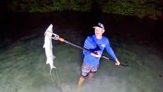 Catching Barracudas with Only a Hand Spear  Catch & Cook