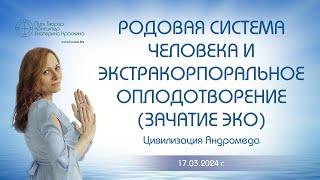 Родовая система человека и экстракорпоральное оплодотворение зачатие ЭКО  Ченнелинг