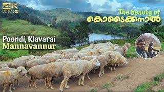 Beauty of Kodaikanal  Poondi  Mannavannur