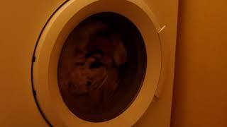 Washing Machine Sound - Washing Machine Noise for Sleeping Relaxing Studying & White Noise