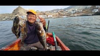 CAPTURÓ 5 CABRILLAS EN UN SOLO LUGAR  con ceviche incluido  Tablita Fishing