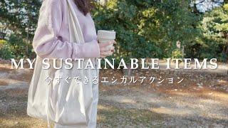 my favorite 10 sustainable items  今すぐできるサステナブル  お気に入りのアイテム10