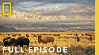 Wild Yosemite Full Episode  Americas National Parks