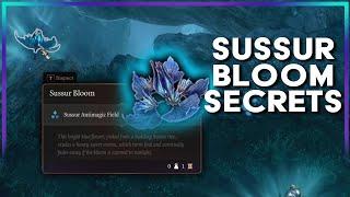 Sussur Bloom Secrets  Baldurs Gate 3