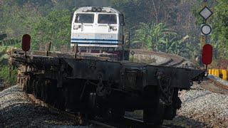 JAUH-JAUH DARI PALEMBANG  Tiga Baung Putih dan Dua Gajah Sumatera di stasiun Tegineneng