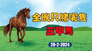 「賽馬貼士」28-2-2024   全晚只賭呢隻三甲馬