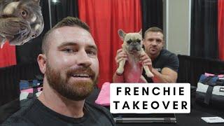 FRENCH BULL DOG EXPO  CONVENTION - FRENCHIE TAKEOVER