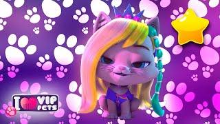  WELCOME to CATTOWN   VIP PETS  NEW SEASON  CARTOONS for KIDS in ENGLISH