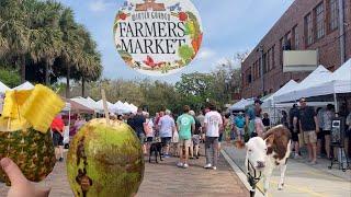 Saturday Morning at the Winter Garden Farmer’s Market Winter Garden FL