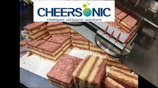 Raspberry sponge cake cutting - CHEERSONIC UFM6000 ultrasonic food slicer