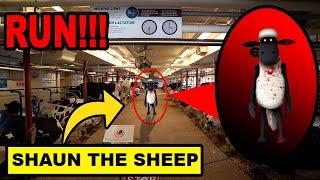 IF YOU SEE CURSED SHAUN THE SHEEP OUTSIDE OF YOUR HOUSE RUN AWAY FAST CURSED SHAUN THE SHEEP.EXE