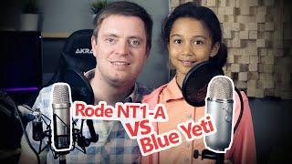 Rode NT1-A  vs Blue Yeti Vergleich ️ ohne ASMR 