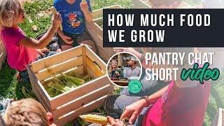 How Much Food We Grow for Our Family  Pantry Chat Podcast SHORT