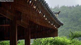 Fall Asleep to Calm Rain Sound Falling From the Eaves of a Hanok.  Deep Sleep Relaxation Study