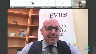 Craft and SMEs VET NETInternational Online Conference 09 Theodore Grassos