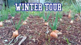 Winter Vegetable Garden Tour. June 2022