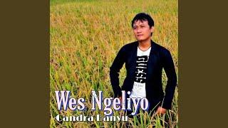 Wes Ngeliyo