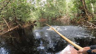 MENGGUNAKAN TEKNIK MANCING TRADISIONAL INI BISA BIKIN KITA JANTUNGAN... 