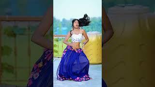 Shekhpura Ke Chauk Par #shorts #shortsvideo #youtubeshorts #poonam #maghiya