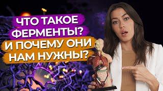 Как определить отсутствие ферментов?  Для чего нужны ферменты?