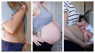 PREGNANT BELLY PROGRESSION