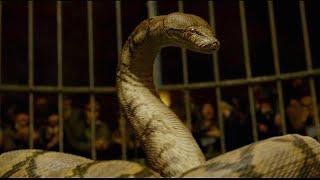 Nagini Scene - Fantastic Beasts and Crimes of Grindelwald2018  Movie Scene HD