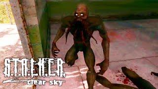 S.T.A.L.K.E.R. Clear Sky ► СТРИМ #3