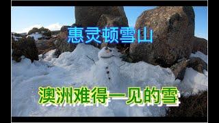 終見澳洲雪景，北方小伙激動的堆起雪人！ 惠靈頓山「下」Mt Wellington