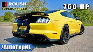 750HP FORD MUSTANG GT SUPERCHARGED  289kmh REVIEW on AUTOBAHN by AutoTopNL
