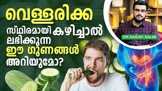 1819 വെള്ളരിക്കയുടെ ഈ ഗുണങ്ങൾ അറിയുമോ?  Cucumber amazing benefits