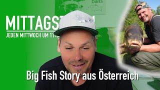 Big Fish Story Österreich   & das richtige Material zum Karpfenangeln ️  Mittagstisch #143