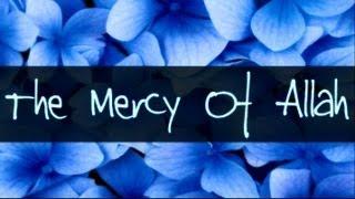 The Mercy Of Allah ᴴᴰ ┇ Amazing Reminder ┇ The Daily Reminder ┇