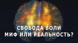 Свобода воли миф или реальность?