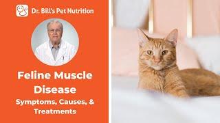 Feline Muscle Disease  Symptoms & Causes  Dr. Bills Pet Nutrition