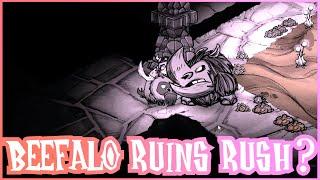 Can You Rush The Ruins With a Beefalo? Dont Starve Together Strategy