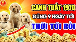 XEM GẤP Dự Ngôn CỰC SỐC Canh Tuất 1970 Đúng 9 Ngày Tới Phước Lớn Lộc Về Thời Tới Phất Mạnh