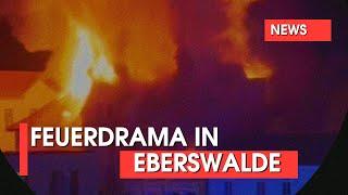 Großbrand erschüttert Eberswalde zwei Menschen starben darunter ein Kind