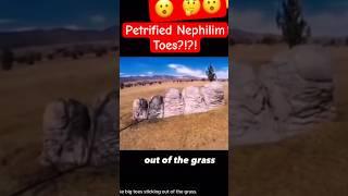 Nephilim Toes Discovered On Accident