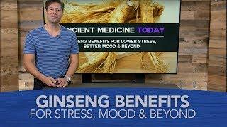 Ginseng Benefits for Lower Stress Better Mood and Beyond