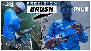 How to Catch Bass from Brush Piles  1-2 Punch