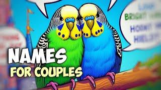 100+ Name Ideas for Bird Couples